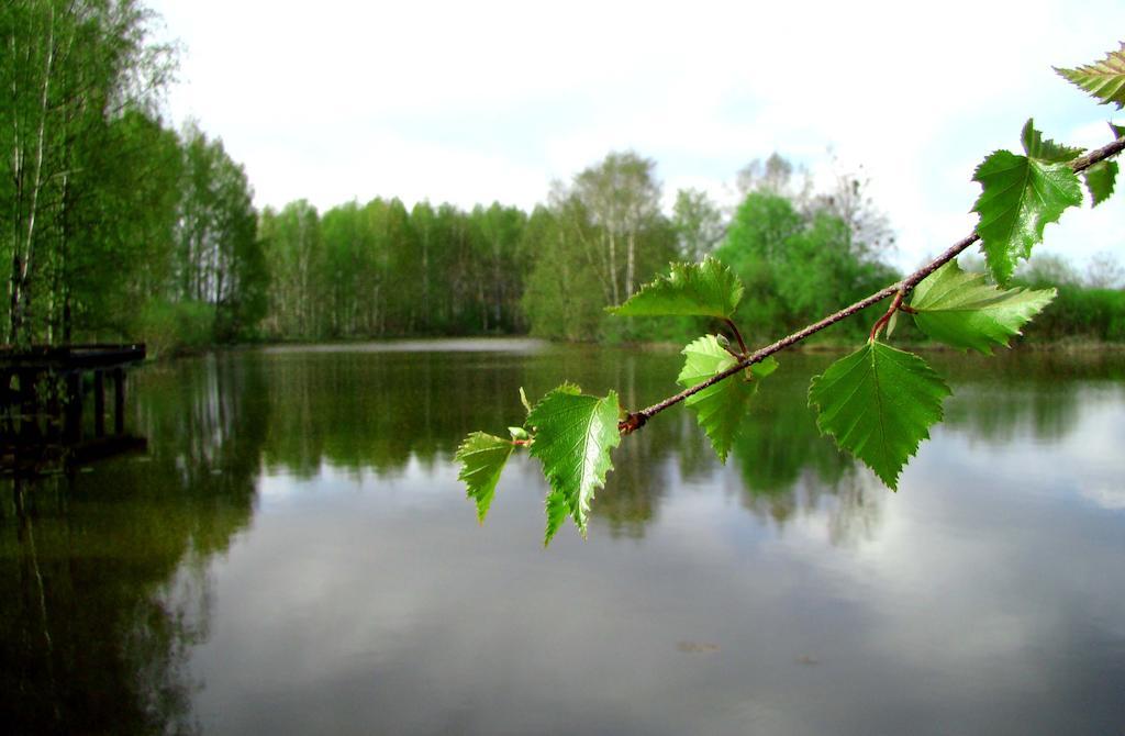 Haemeenkylaen Kartano Vantaa Dış mekan fotoğraf